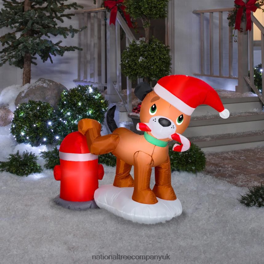 decoration | National Tree Company Inflatable Puppy Dog and Fire Hydrant LED Lights Plug In Christmas Collection 4 Feet F2L4F654